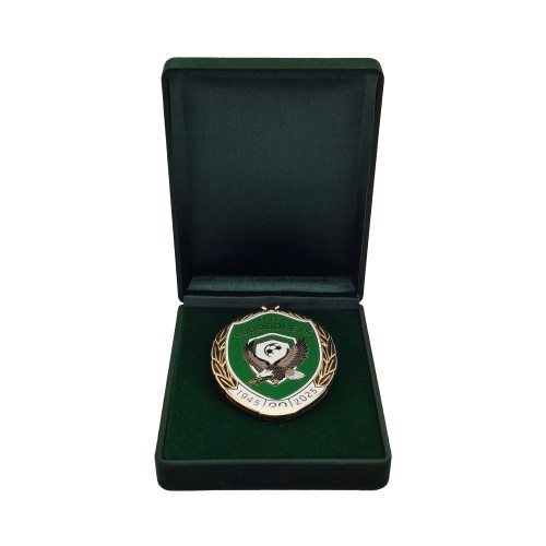 Luxury badge Ludogorets 80 years - For Merit