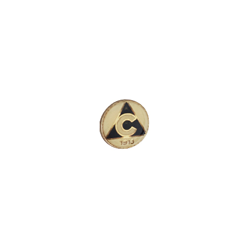 Pin badge Slavia